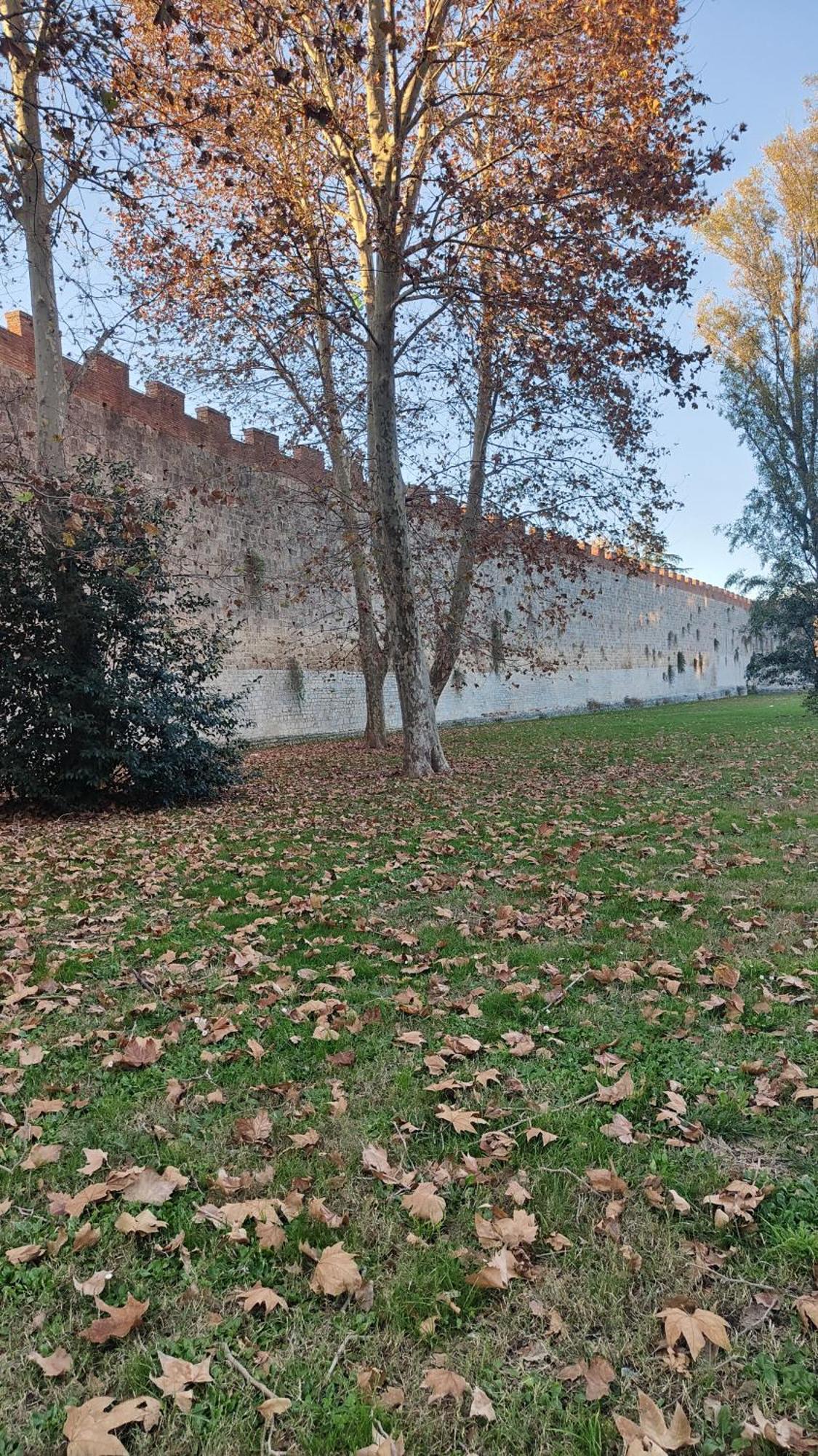 L'Angolo Di Galileo Pise Extérieur photo